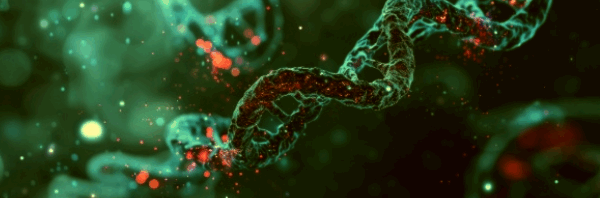 High-Performance Photodetectors for Advanced Microscopy.